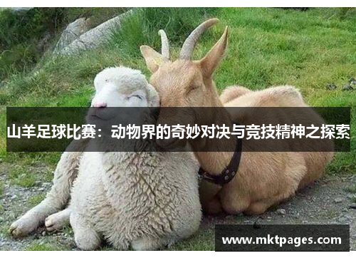 山羊足球比赛：动物界的奇妙对决与竞技精神之探索