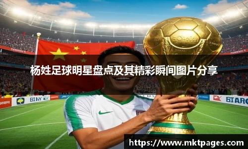 球王会体育平台登录入口