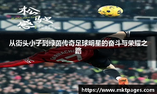 球王会体育平台登录入口